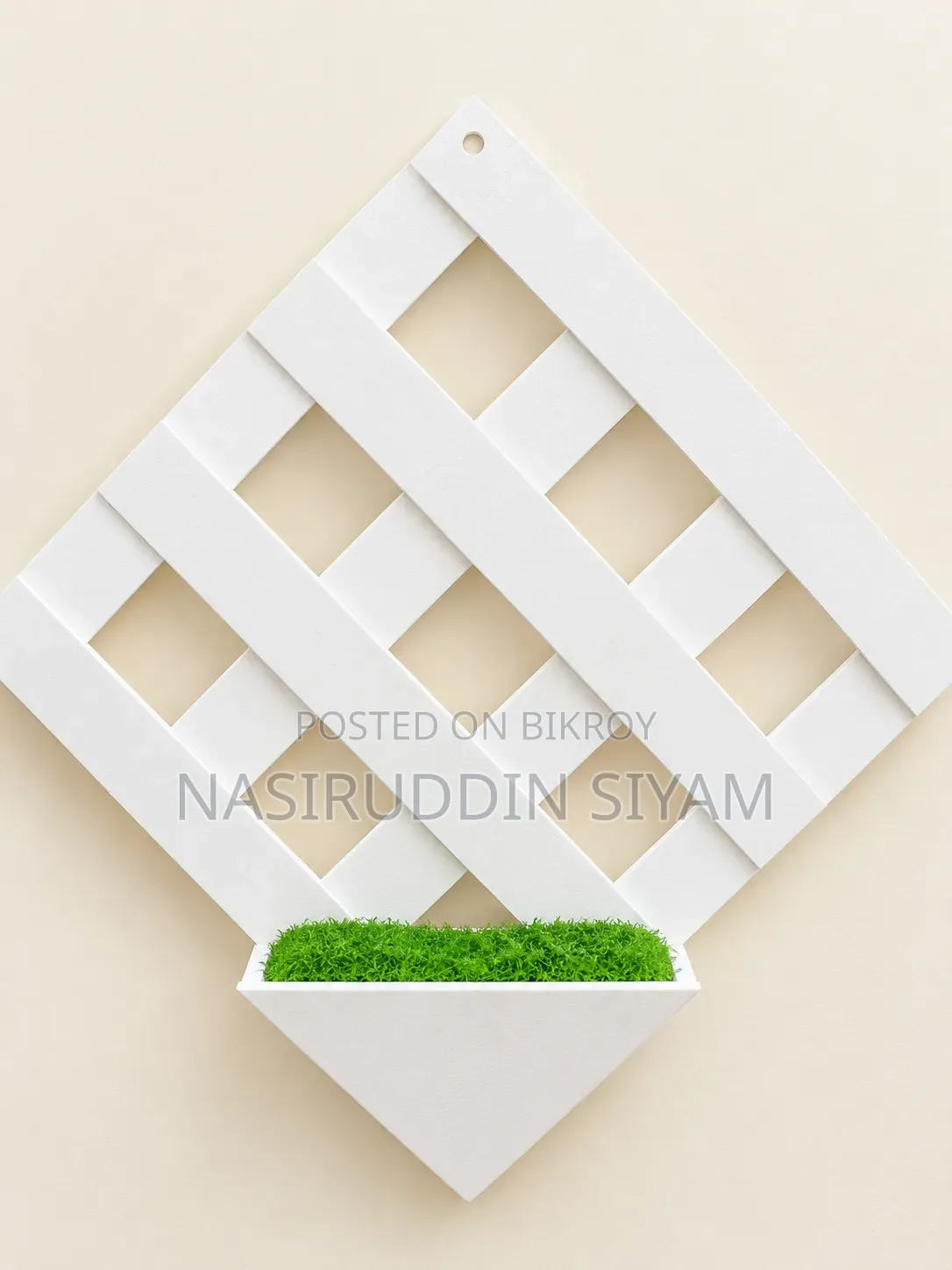 Decorative Wall Trellis Planter।