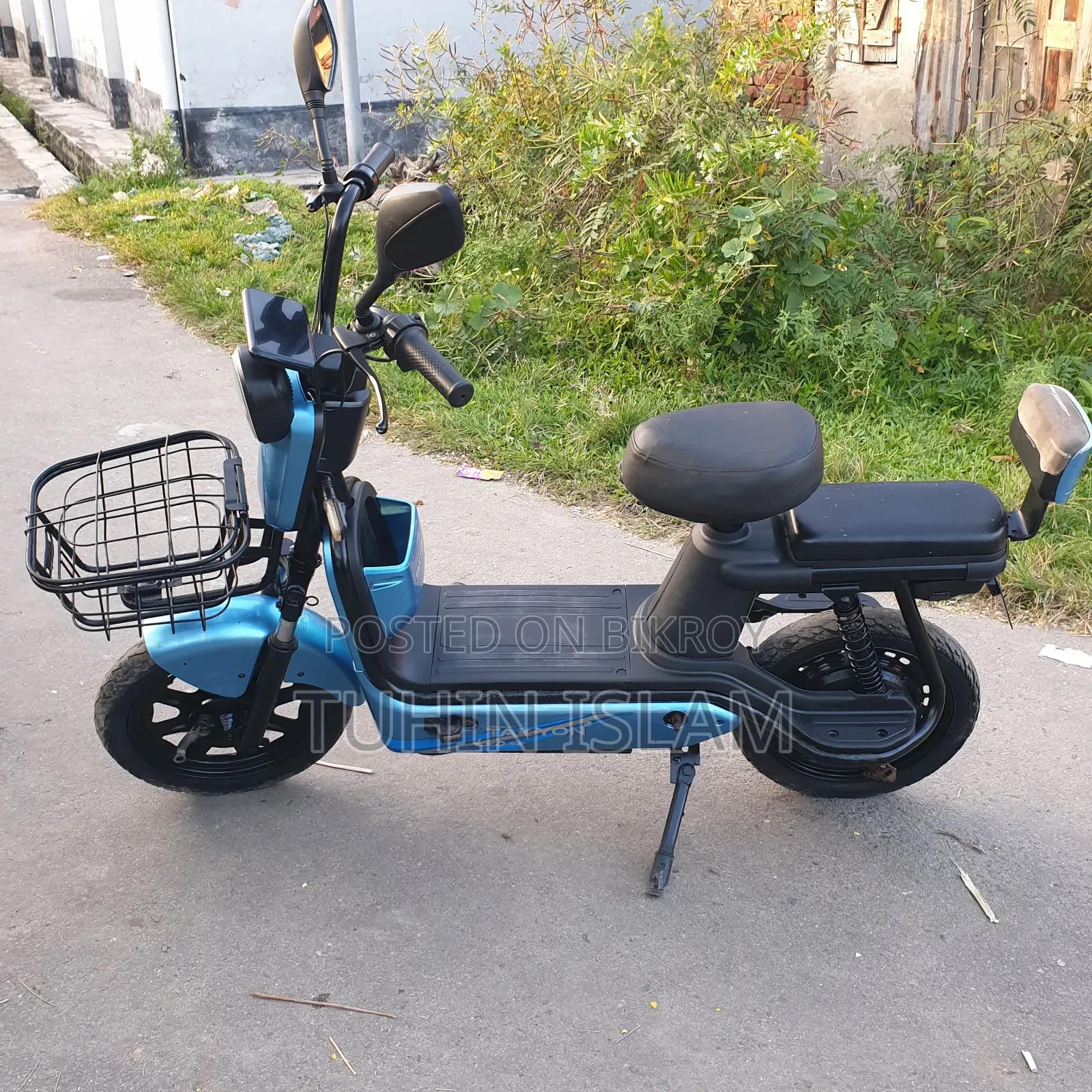 Walton Cruize 2022 Beige