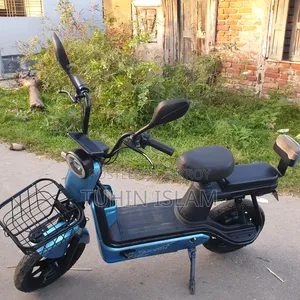 Walton Cruize 2022 Beige