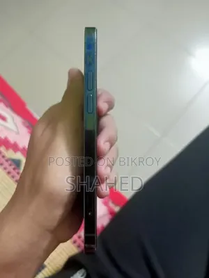 অ্যাপল আইফোন ১২ প্রো ২৫৬ জিবি ব্লু