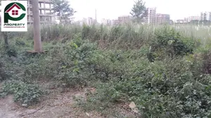 Exclusive- 10 Katha Plot at Basundhara, Block- M