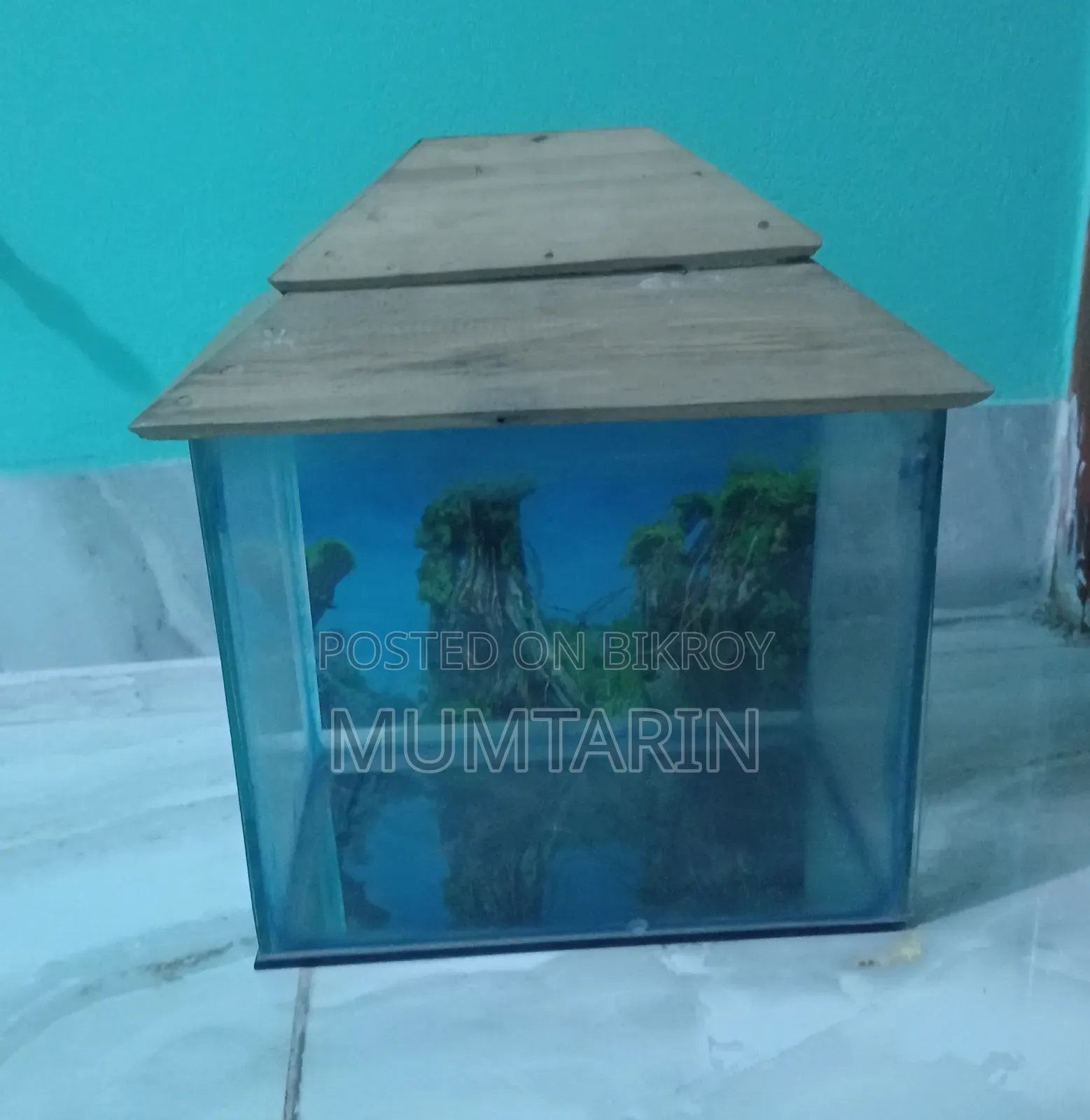সুলভ মূল্যে অ্যাকুরিয়াম বিক্রি