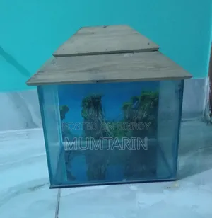 সুলভ মূল্যে অ্যাকুরিয়াম বিক্রি