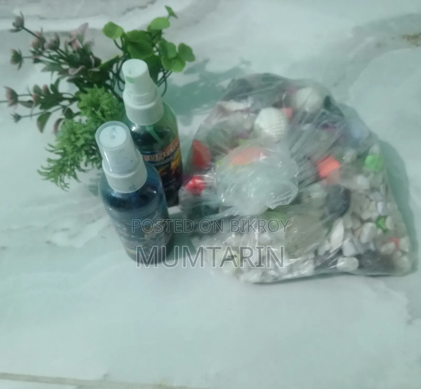 সুলভ মূল্যে অ্যাকুরিয়াম বিক্রি