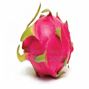 Dragon Fruit Malaysia