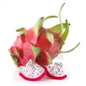 Dragon Fruit Malaysia