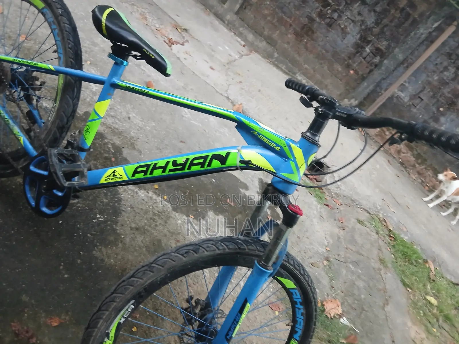 অহিয়ান গিয়ার সাইকেল