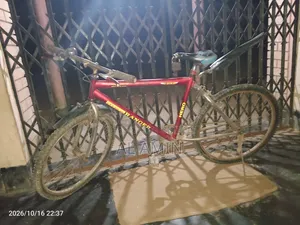 ছাইকেলটি ভালো মানের টাকার পয়োজন তাই বিক্রি করবো