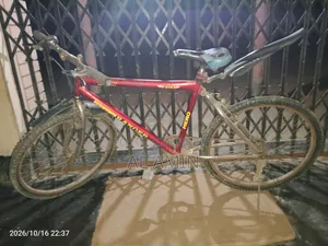 ছাইকেলটি ভালো মানের টাকার পয়োজন তাই বিক্রি করবো
