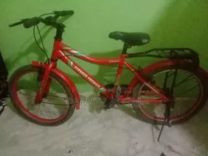 20" Duronto Bicycle
