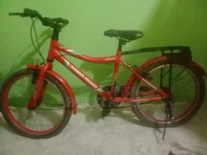 20" Duronto Bicycle