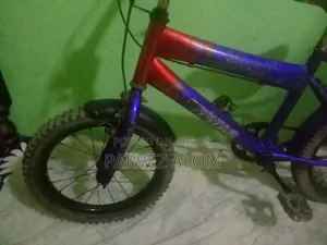 16" Bicycle