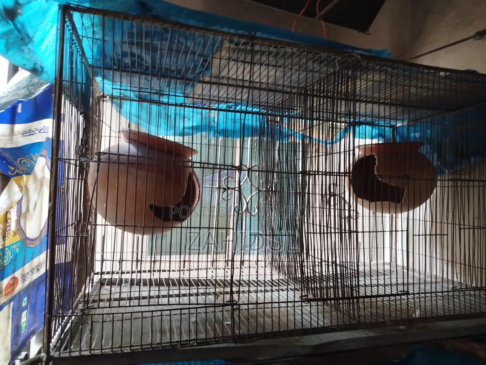 Bird Cage for Sale
