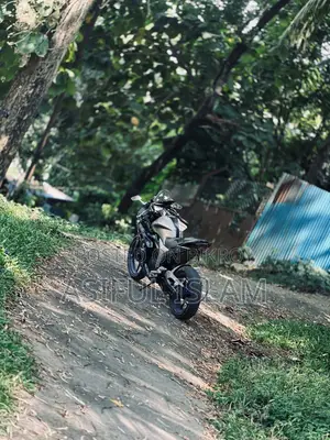 Suzuki Gixxer SF 2020 Silver