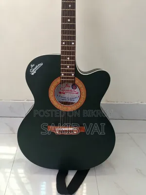 Signature Model 385 Acoustic Guitar
