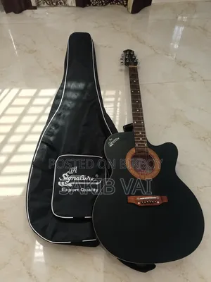 Signature Model 385 Acoustic Guitar