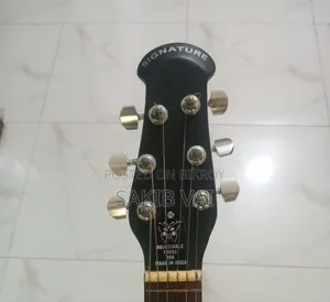 Signature Model 385 Acoustic Guitar