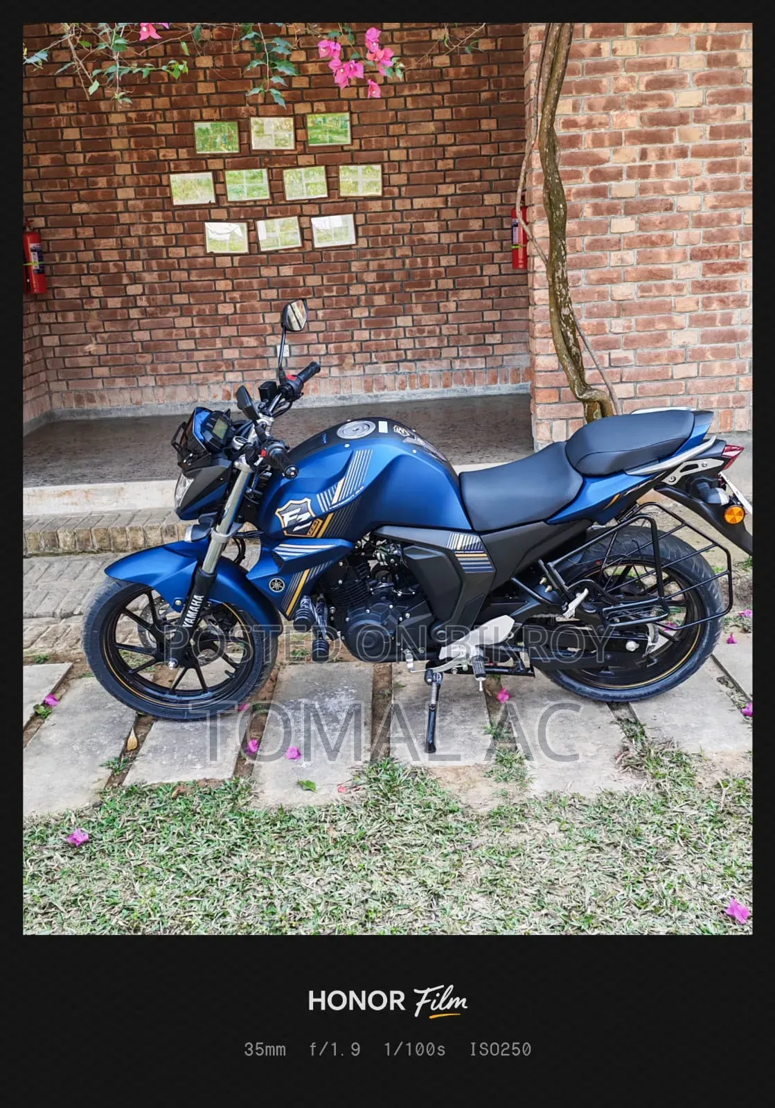 ইয়ামাহা এফজেডএস ভি২ ২০২৬ নীল