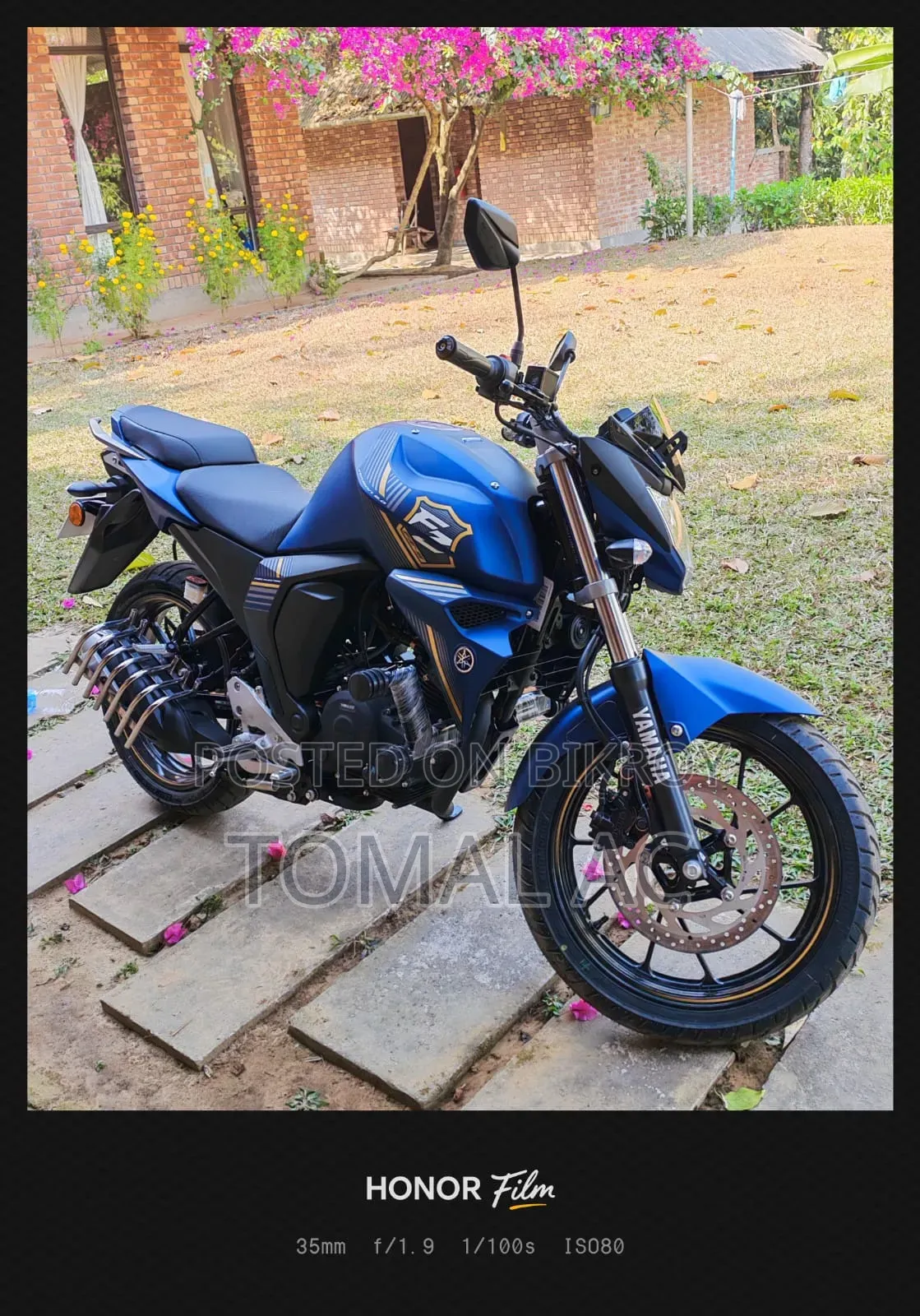 ইয়ামাহা এফজেডএস ভি২ ২০২৬ নীল