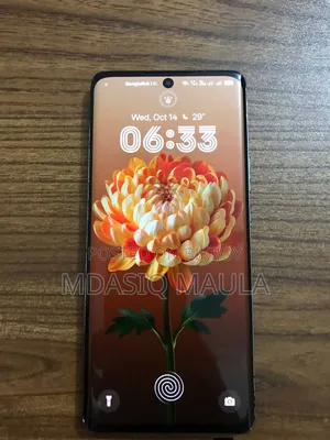 Oppo Reno 10 5G 256 GB Black