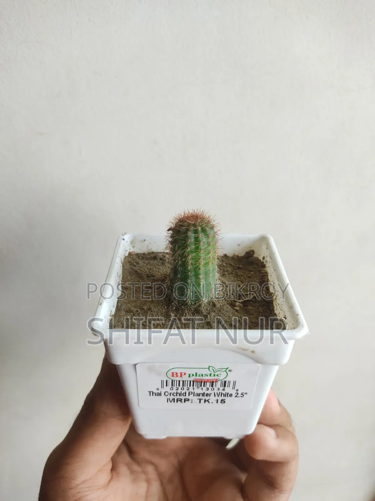 17 Cacti of 8 Types