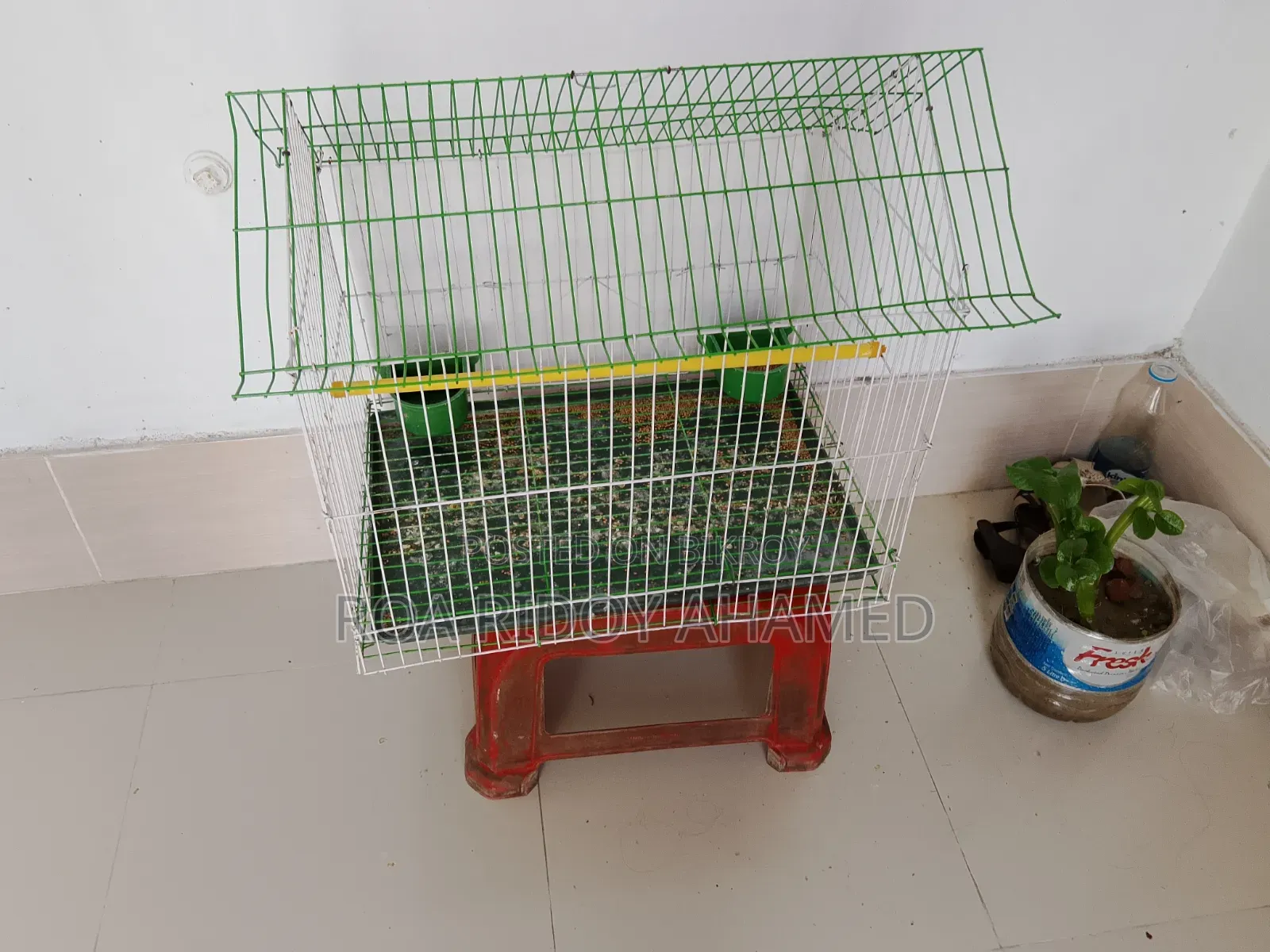 Bird Cage for Sale
