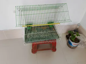 Bird Cage for Sale