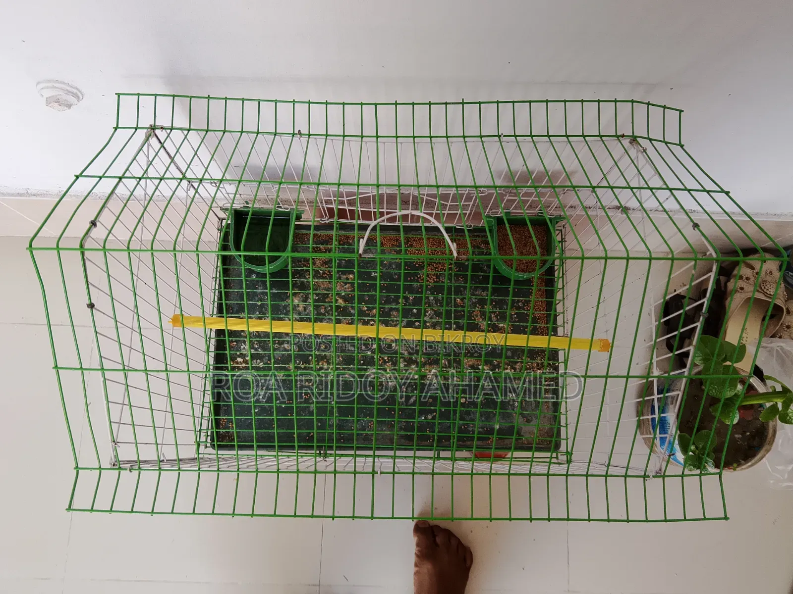 Bird Cage for Sale