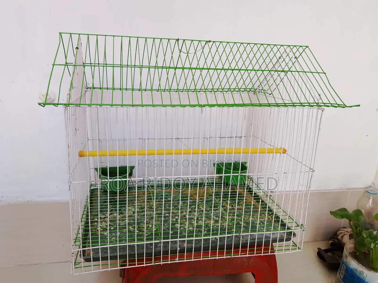 Bird Cage for Sale