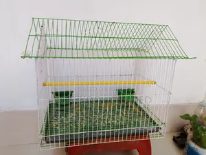 Bird Cage for Sale