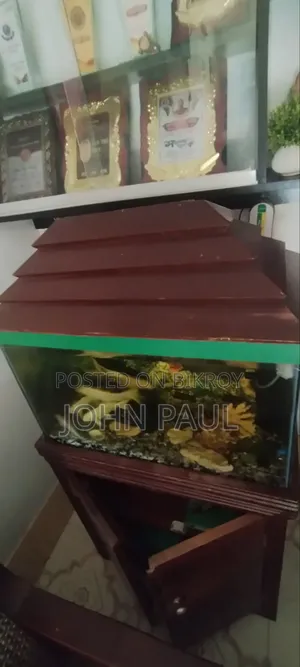 Aquarium (Wooden Stand and Cover)