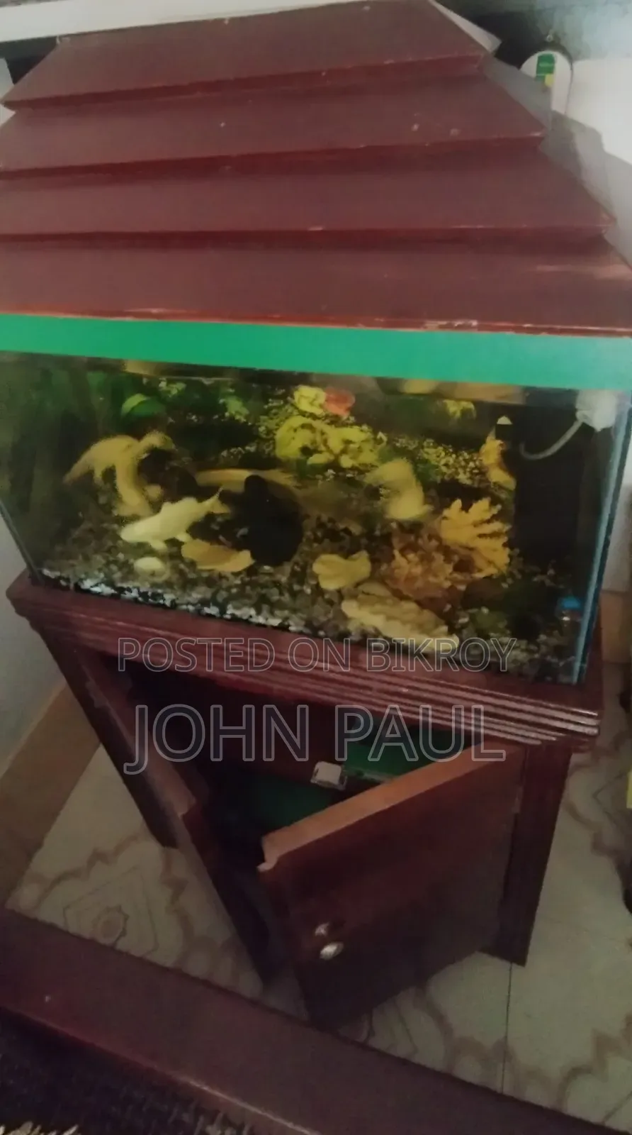 Aquarium (Wooden Stand and Cover)