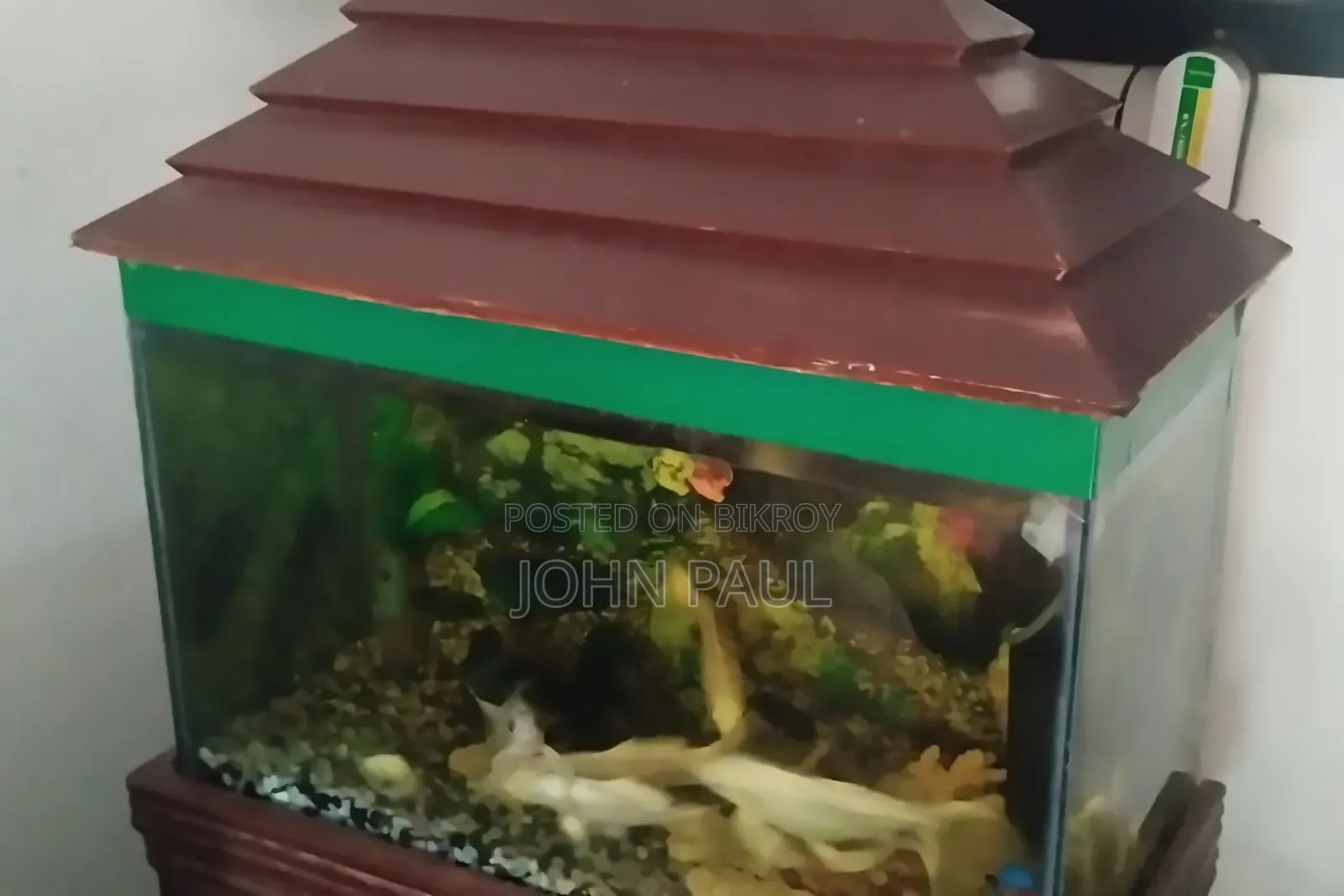Aquarium (Wooden Stand and Cover)