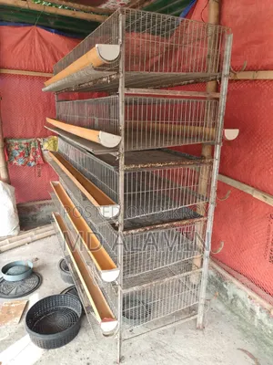 Bird Cage Birdcage