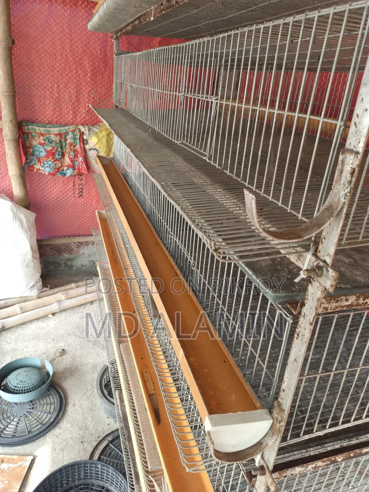 Bird Cage Birdcage