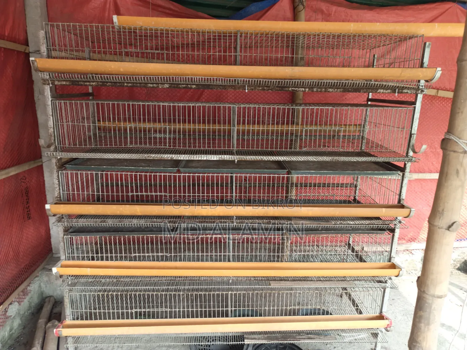 Bird Cage Birdcage