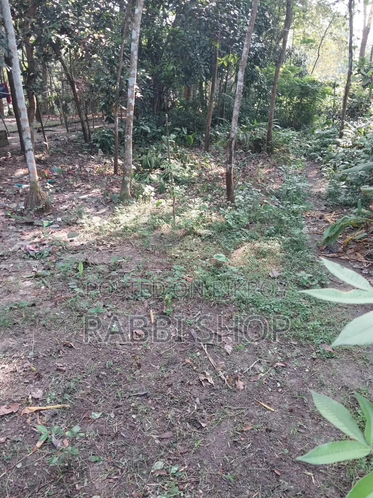 Land amount is 2 kathas (2 decimals) Land Sale