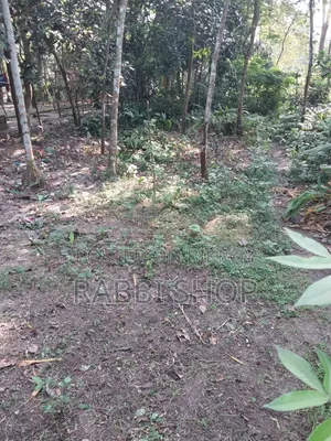 Land amount is 2 kathas (2 decimals) Land Sale