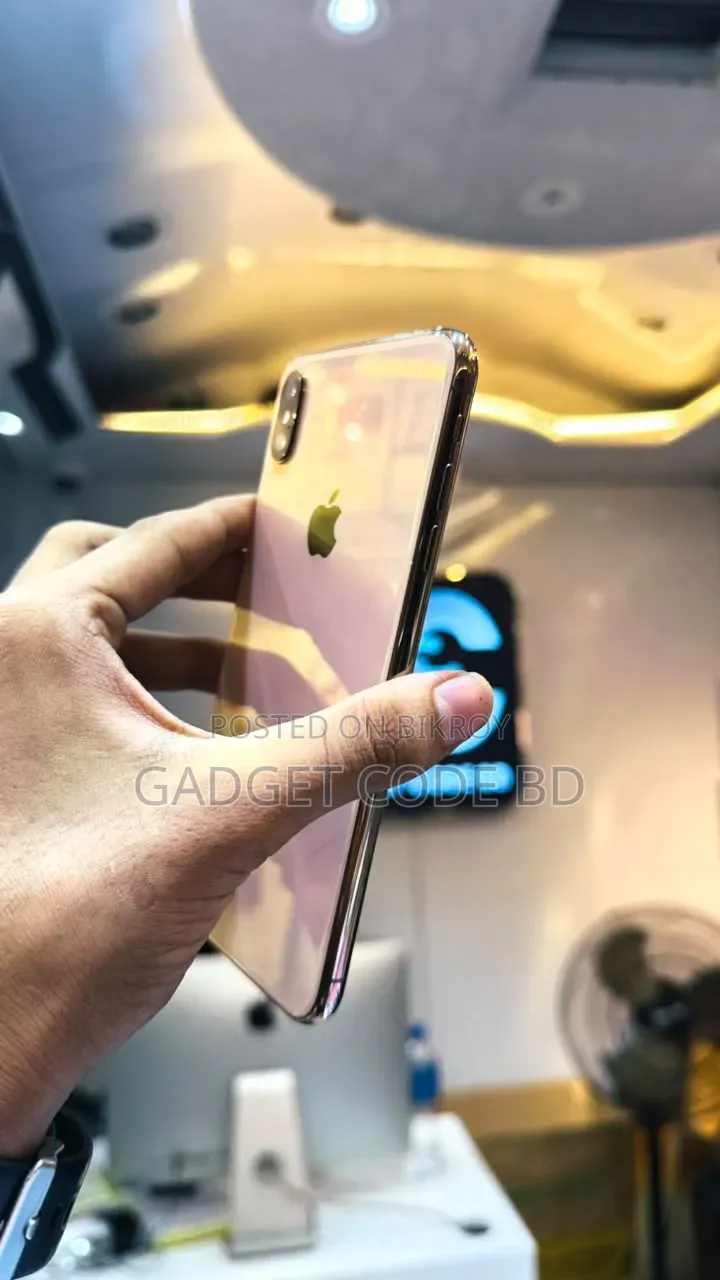অ্যাপল আইফোন এক্সএস ম্যাক্স ২৫৬ জিবি
