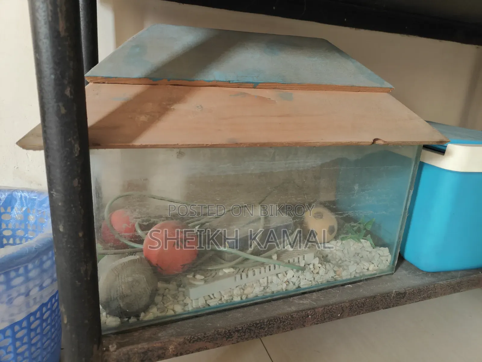 Traditional Fish Tank (SMALL)
