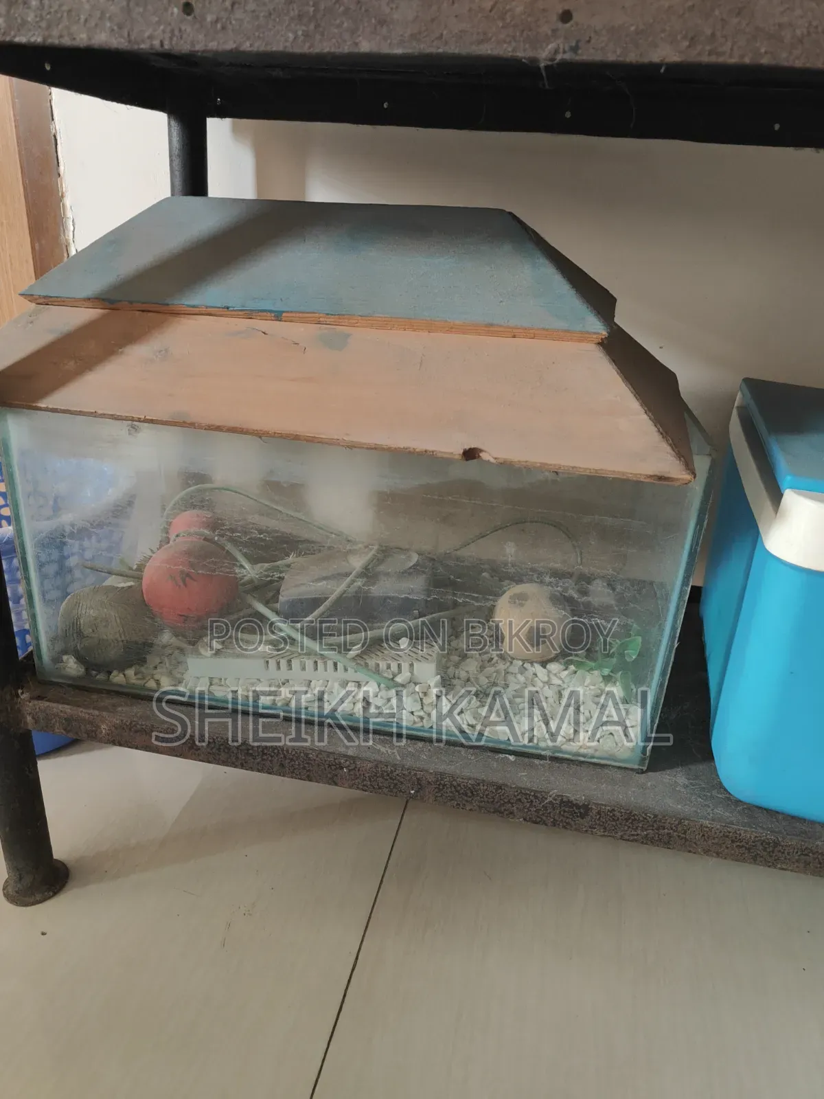 Traditional Fish Tank (SMALL)