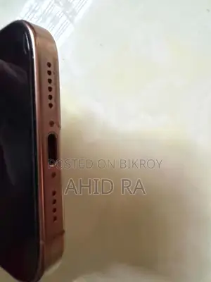 অ্যাপল আইফোন ১৬ প্রো ম্যাক্স ২৫৬ জিবি রোজ গোল্ড