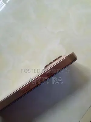 অ্যাপল আইফোন ১৬ প্রো ম্যাক্স ২৫৬ জিবি রোজ গোল্ড