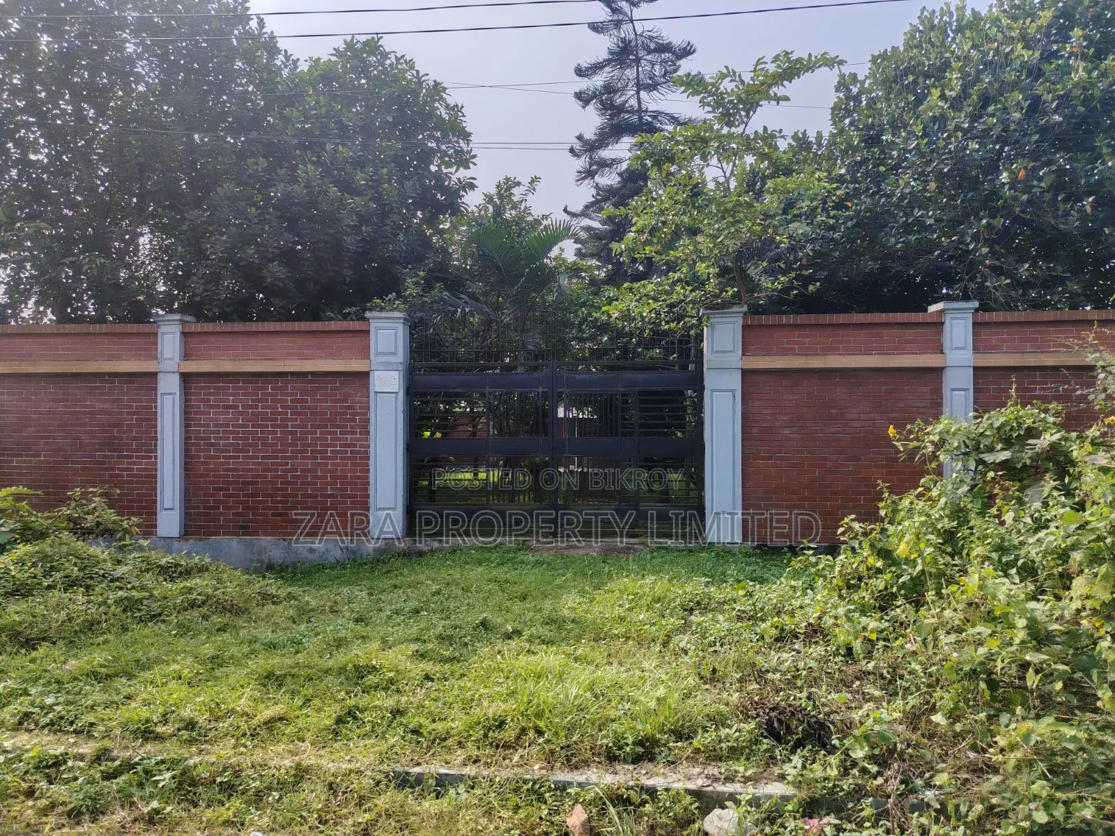 5 Katha South Facing in Sector 21 on a Low Budget