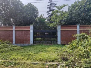 5 Katha South Facing in Sector 21 on a Low Budget