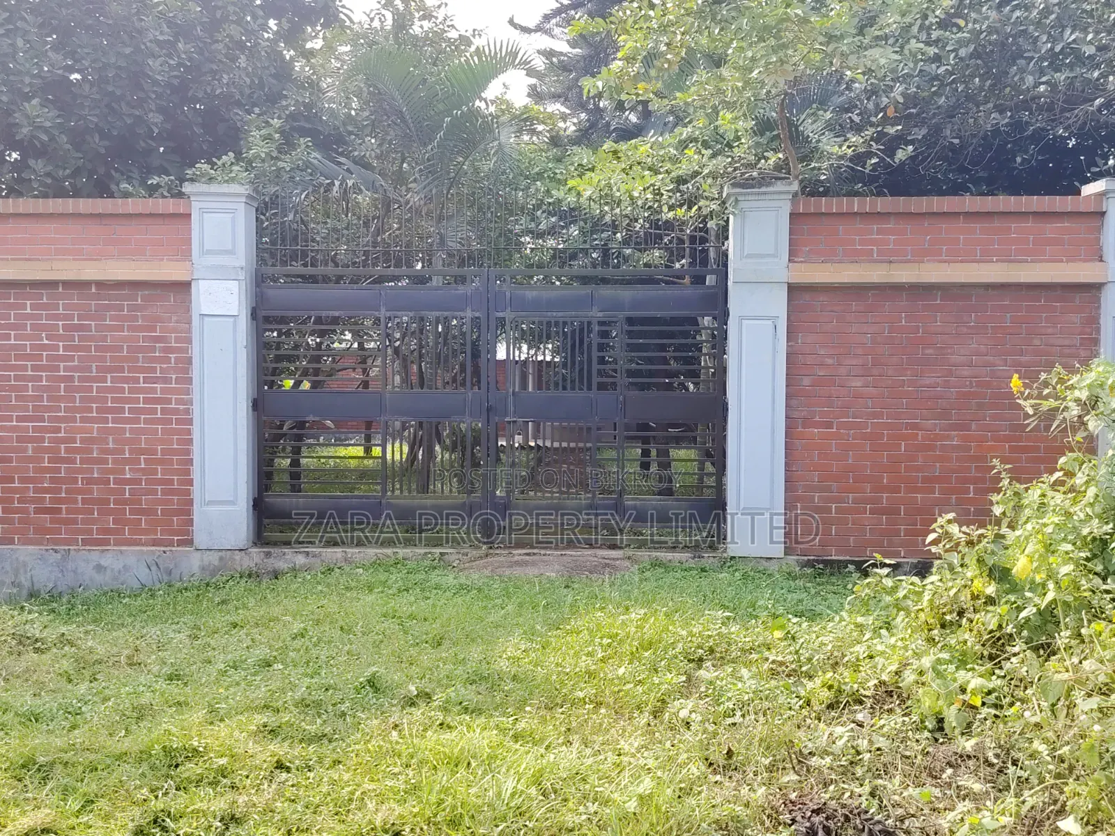 5 Katha South Facing in Sector 21 on a Low Budget