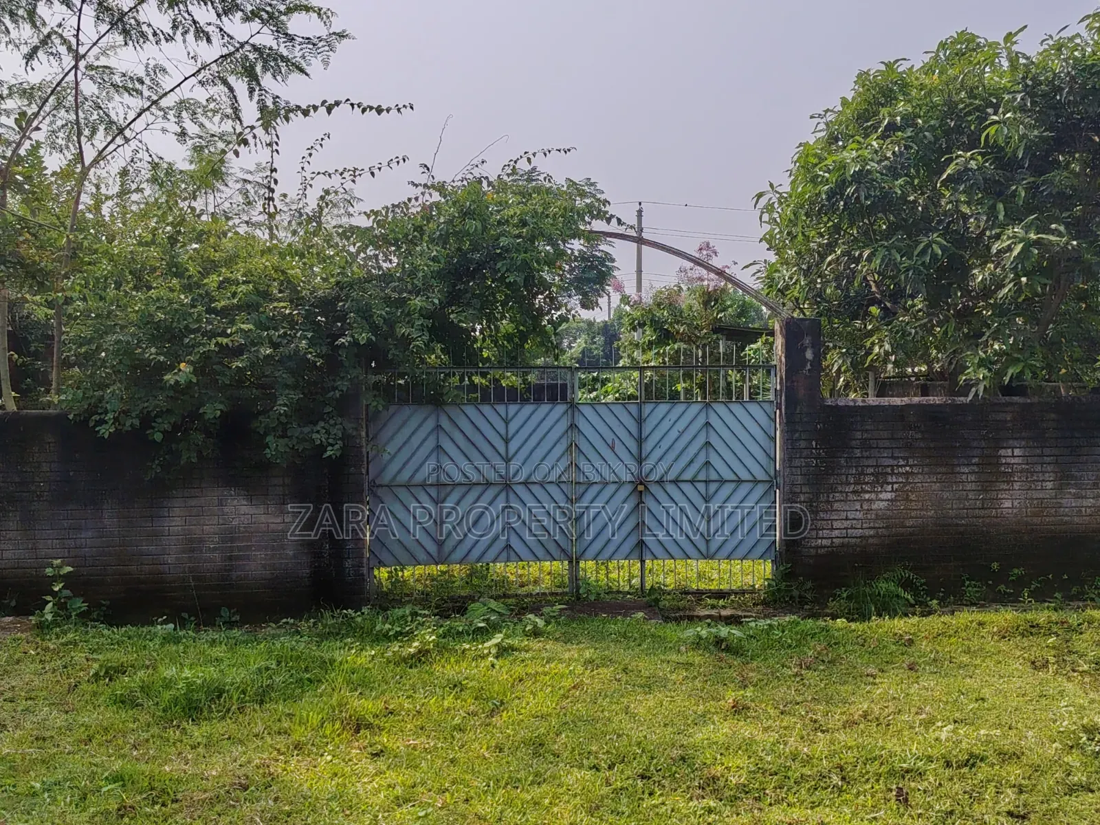 5 Katha South Facing Near 300 Feet in Sector 18