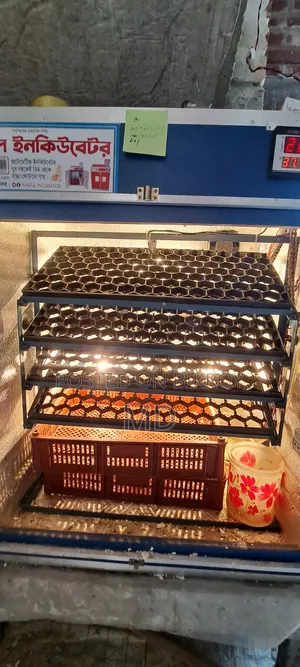 600 Egg Incubator for Sale