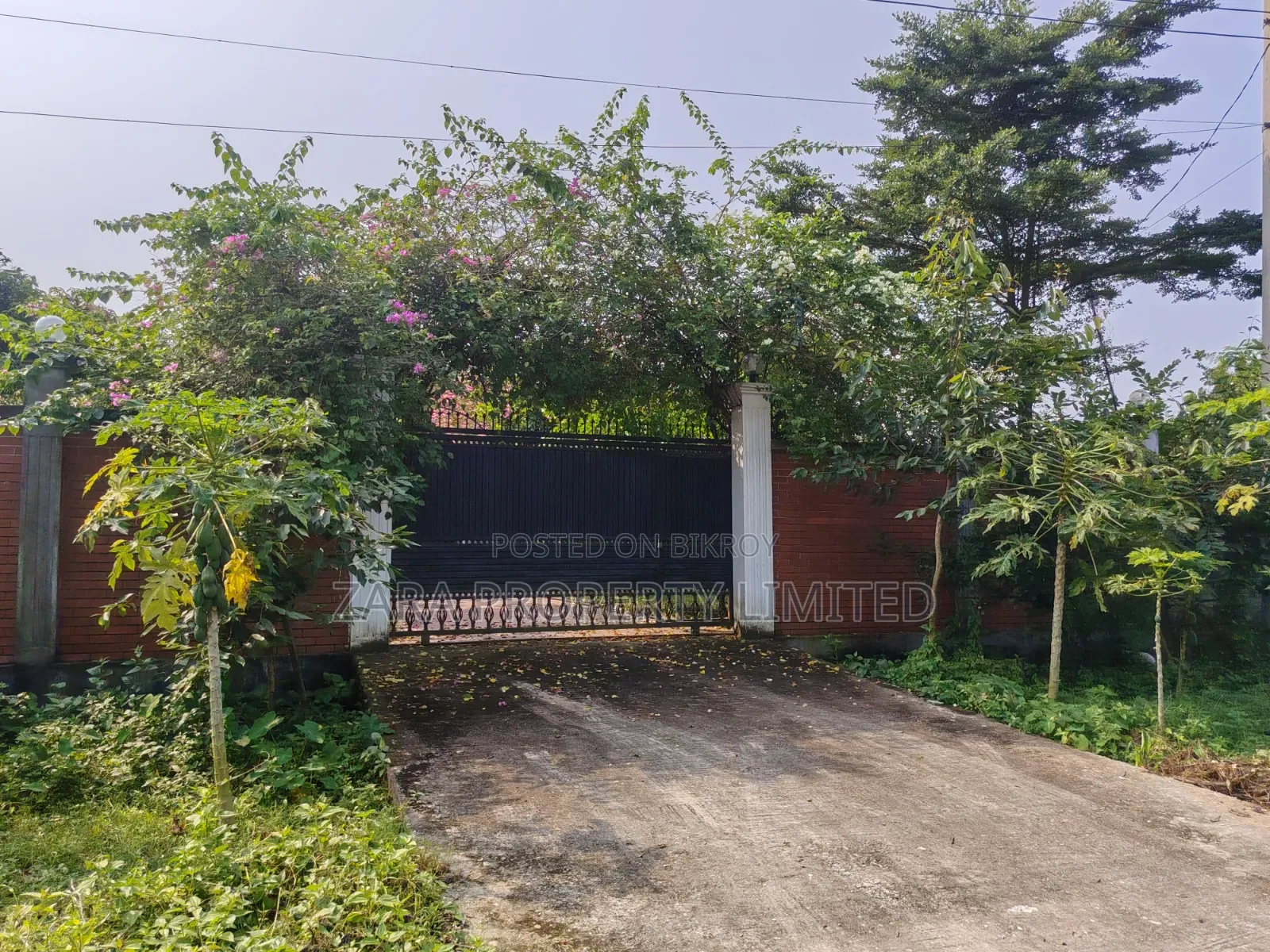 3 Katha Plot for Sale Near Helipet Chattar