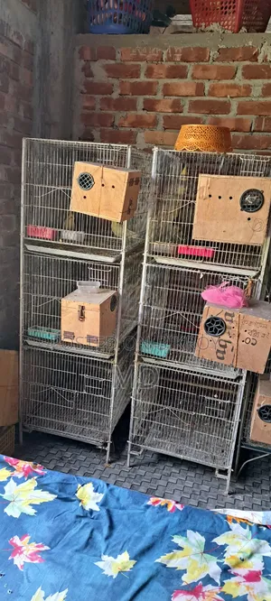 Pigeon and chicken cage for sale.